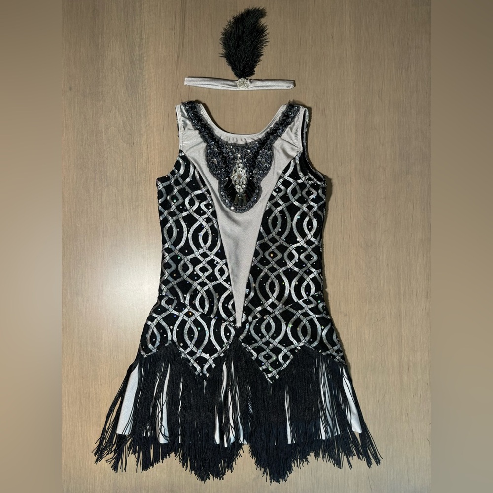 1920s Flapper Dress Dancewear Halloween Costume (Medium Adult)